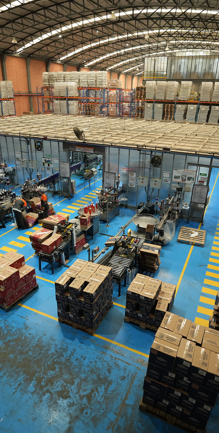 2021 - Nueva Planta Funza